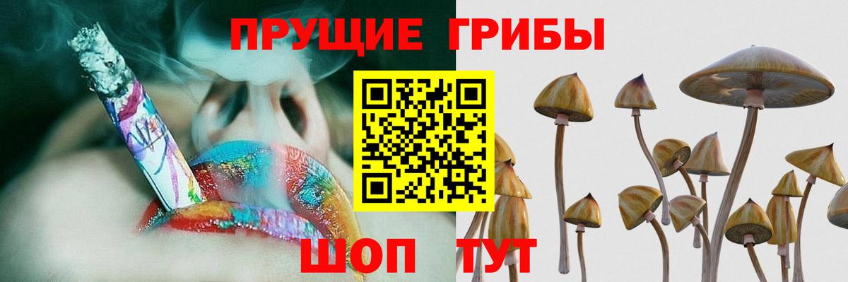 где купить наркоту  Галлюциногенные грибы Psilocybe  Вход с VPN  Городец 